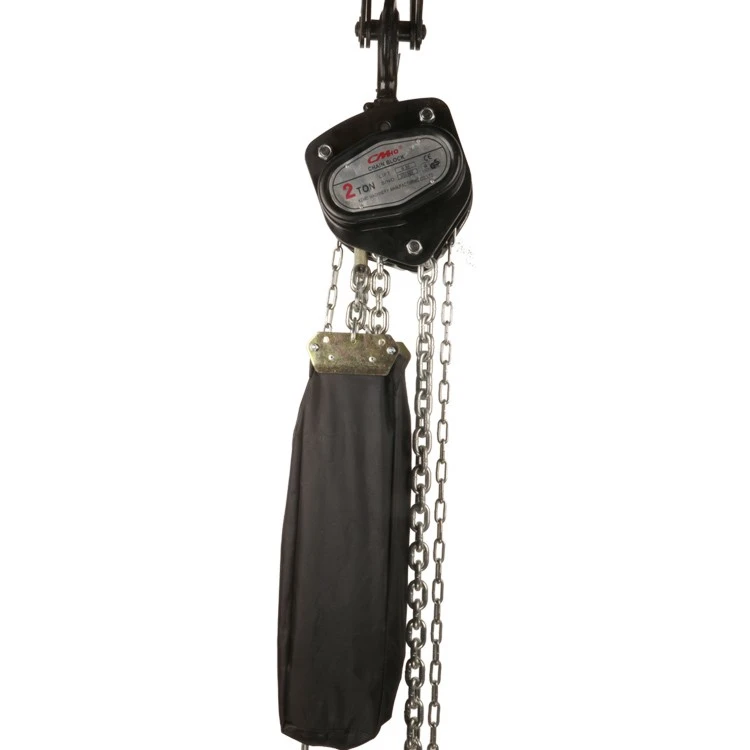 Easy To Operate Theatrical Chain Hoist factory